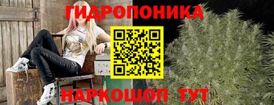 apvp Апшеронск